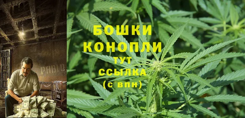 Шишки марихуана SATIVA & INDICA  Тулун 